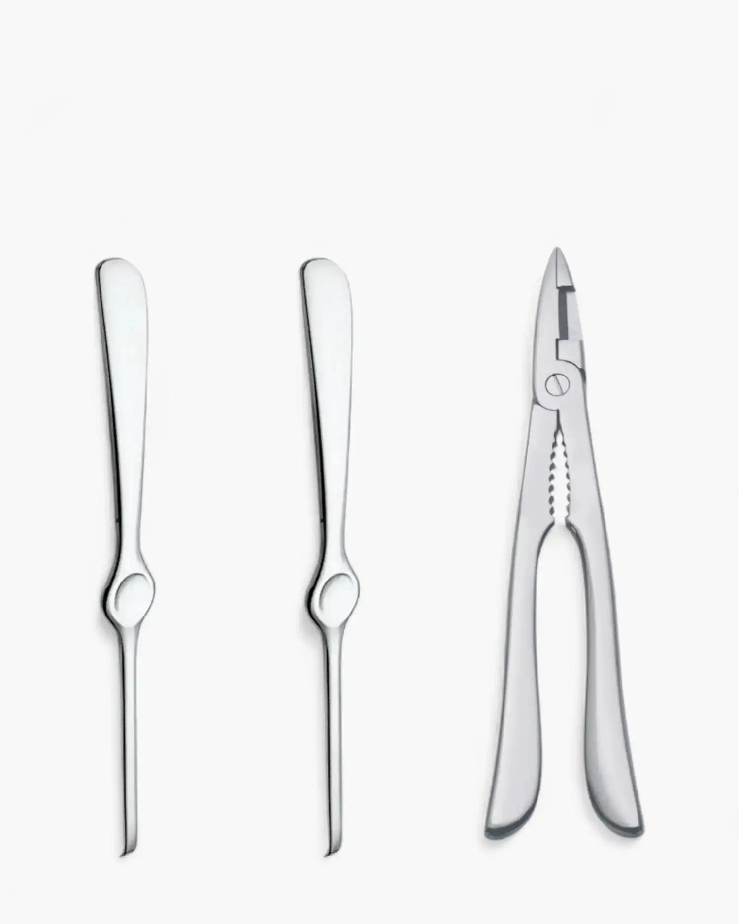 ab+ by Abert Set 3 pcs shellfish steel - Buy now on ShopDecor - Discover the best products by AB+ design
