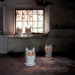 Karman Ti Vedo table lamp in the shape of an owl with bright eyes - Buy now on ShopDecor - Discover the best products by KARMAN design