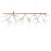 Moooi Heracleum Endless LED suspension lamp Copper - Buy now on ShopDecor - Discover the best products by MOOOI design