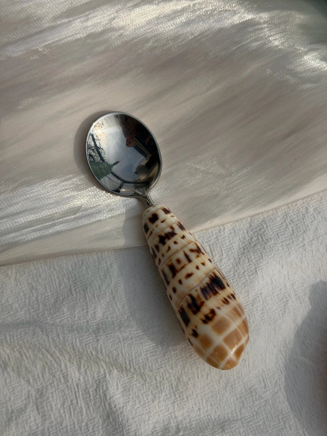 Natural Conch Stainless Steel Spoon & Fork - TRLab Shop