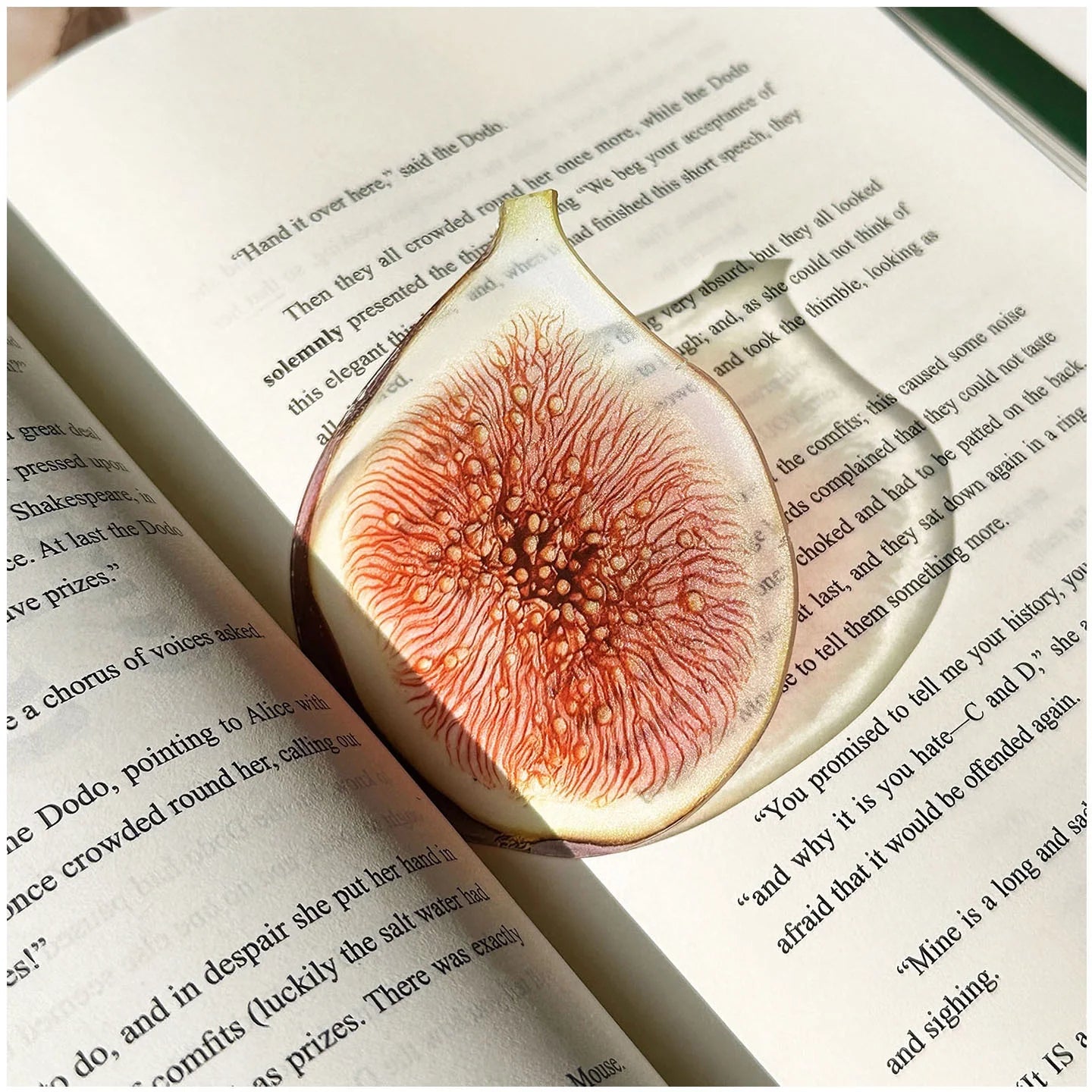 Translucent Fruit Acrylic Bookmark - TRLab Shop