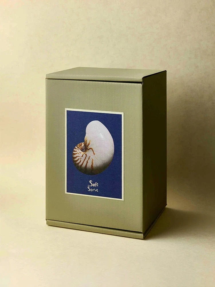 Coastal Seashell Ceramic Tea Cup - TRLab Shop