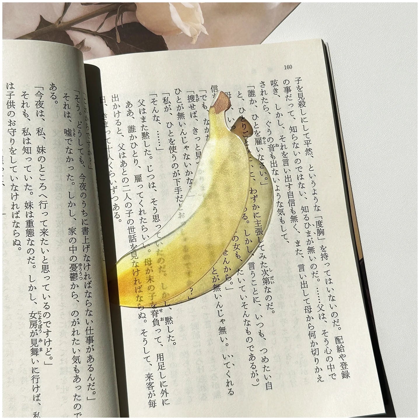 Translucent Fruit Acrylic Bookmark - TRLab Shop