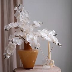 Orchid