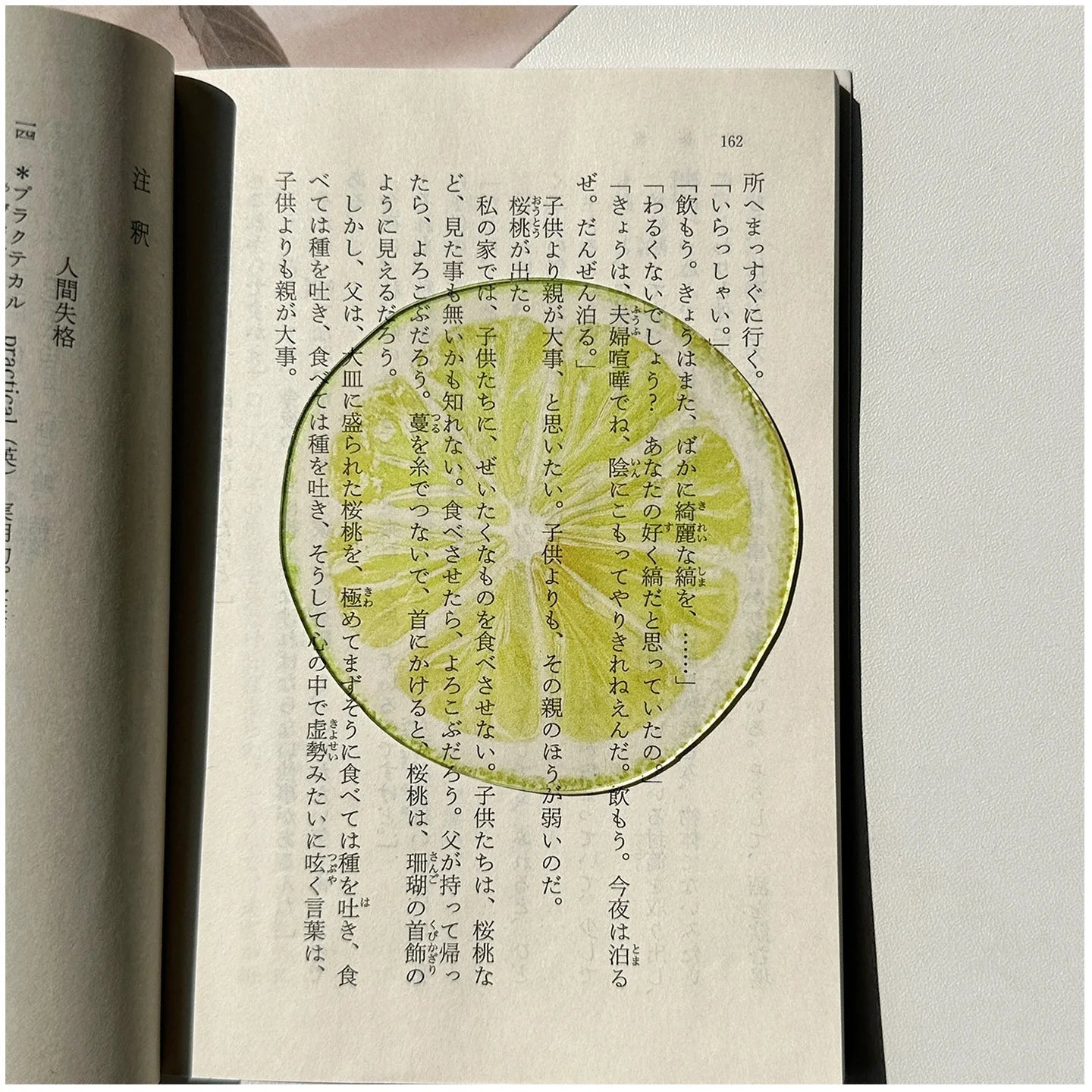 Translucent Fruit Acrylic Bookmark - TRLab Shop