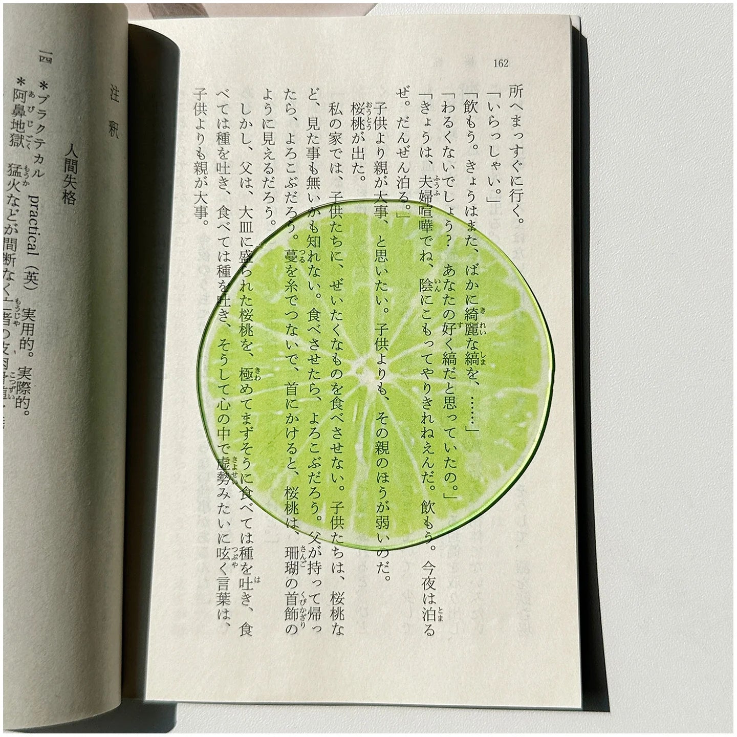 Translucent Fruit Acrylic Bookmark - TRLab Shop