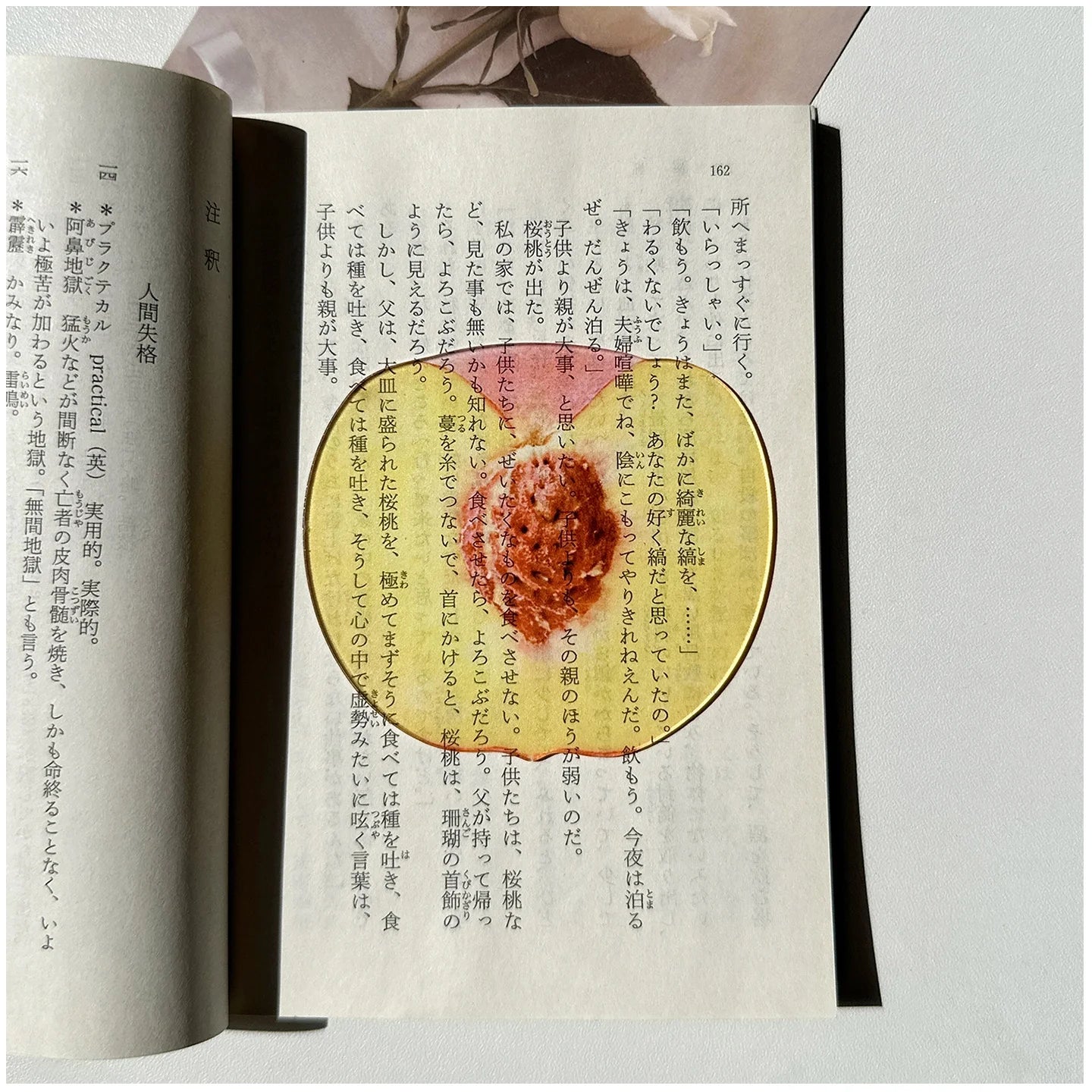 Translucent Fruit Acrylic Bookmark - TRLab Shop