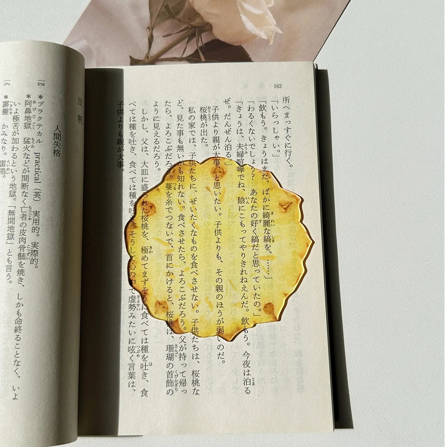 Translucent Fruit Acrylic Bookmark - TRLab Shop