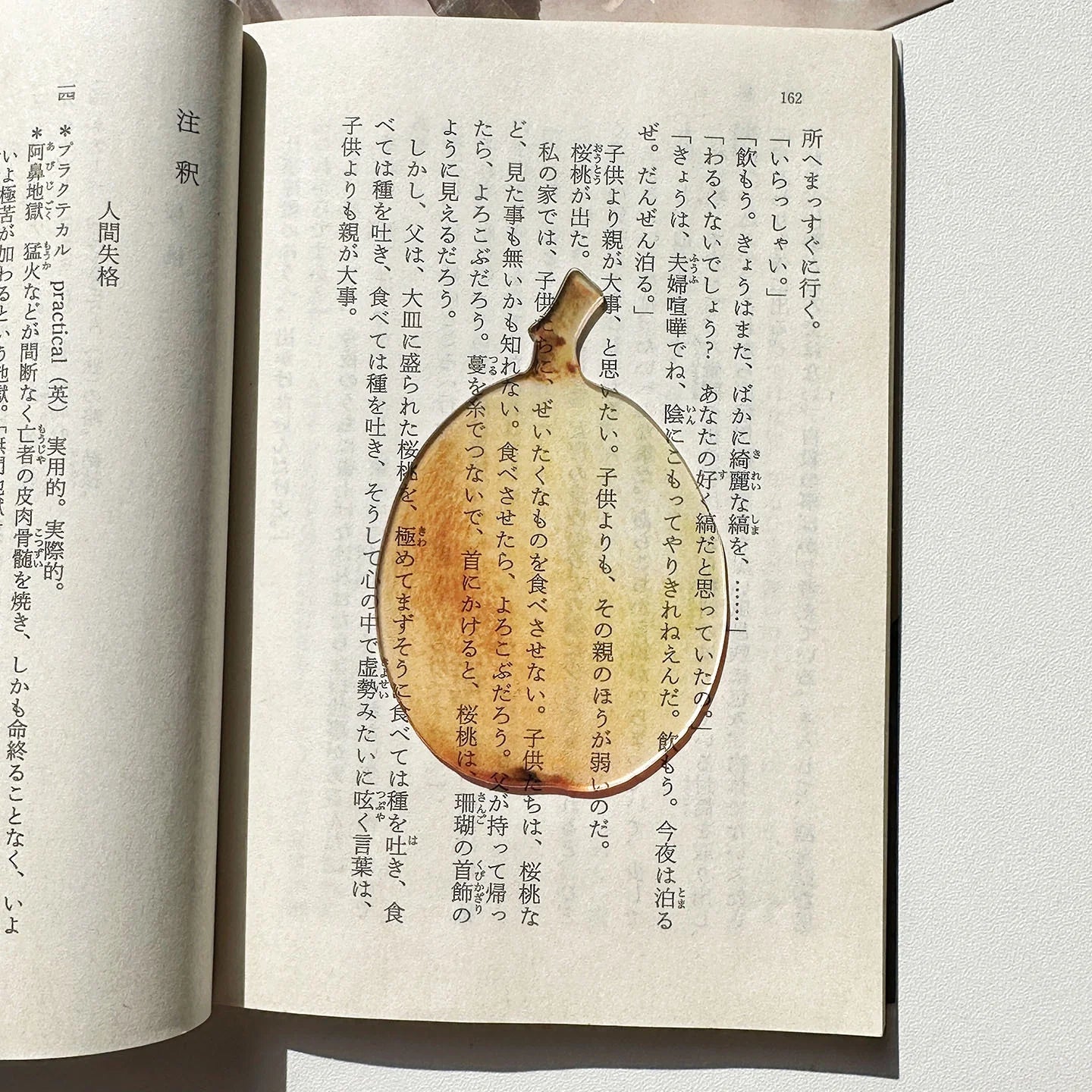 Translucent Fruit Acrylic Bookmark - TRLab Shop
