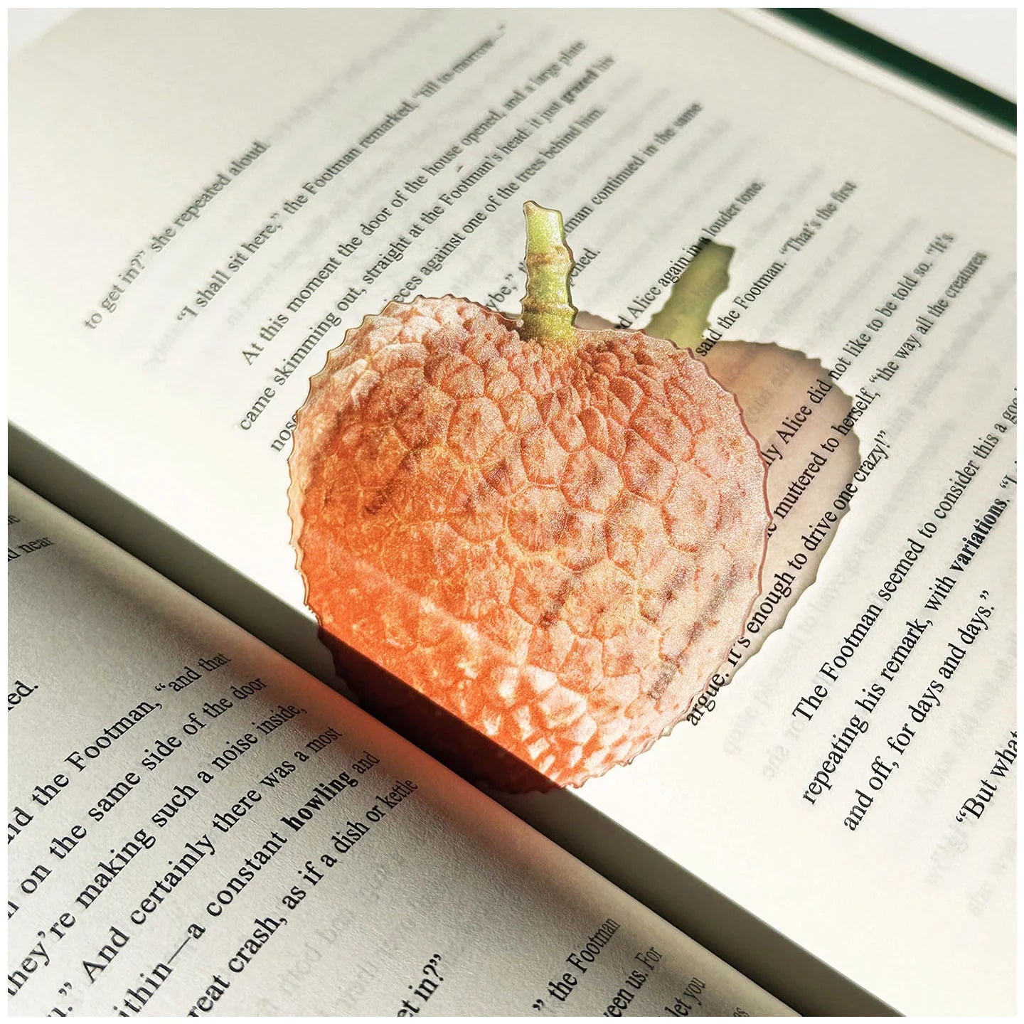 Translucent Fruit Acrylic Bookmark - TRLab Shop