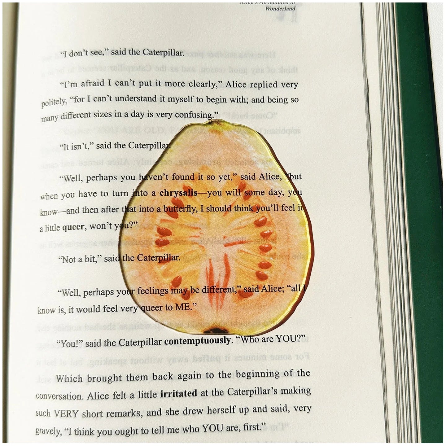 Translucent Fruit Acrylic Bookmark - TRLab Shop