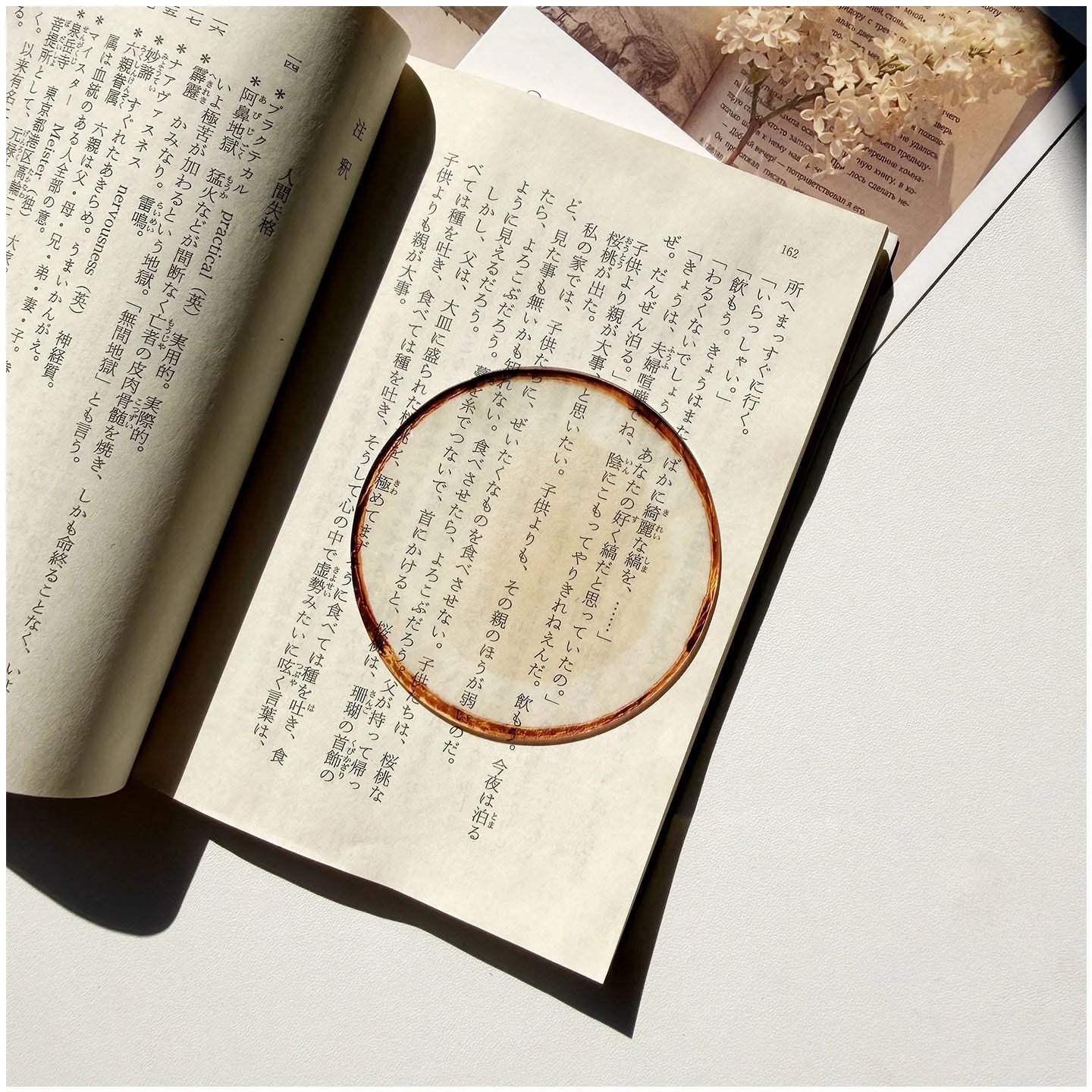 Translucent Fruit Acrylic Bookmark - TRLab Shop