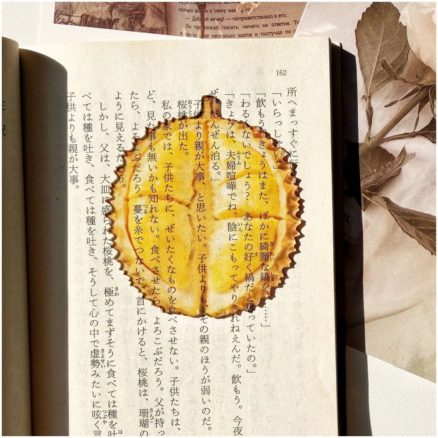 Translucent Fruit Acrylic Bookmark - TRLab Shop