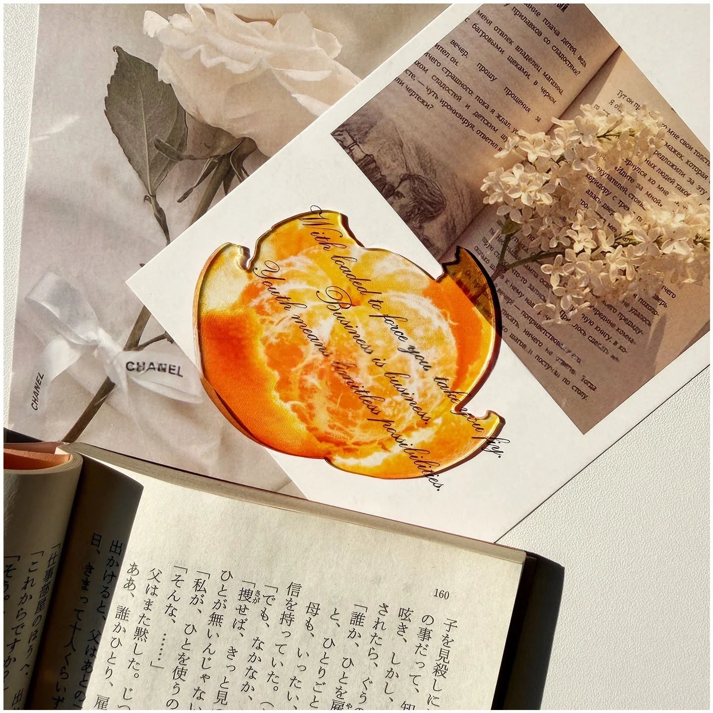 Translucent Fruit Acrylic Bookmark - TRLab Shop