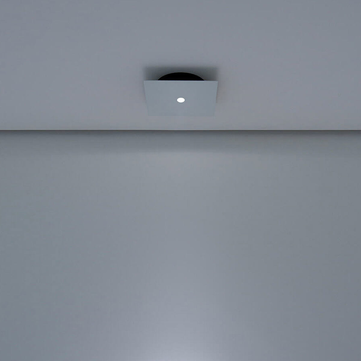 Davide Groppi Nulla PL ceiling lamp matt white - Buy now on ShopDecor - Discover the best products by DAVIDE GROPPI design