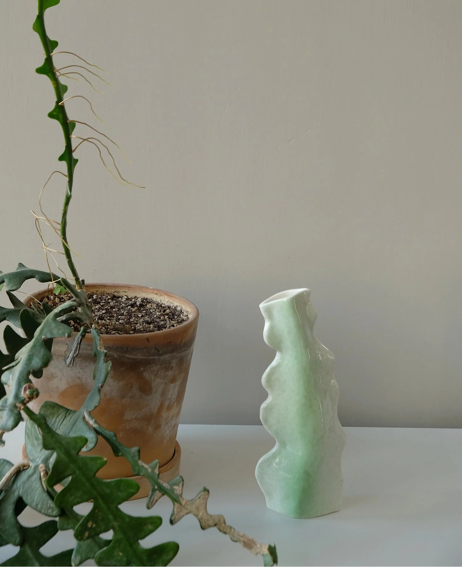 Ceramic Cactus-Shaped Vase - TRLab Shop