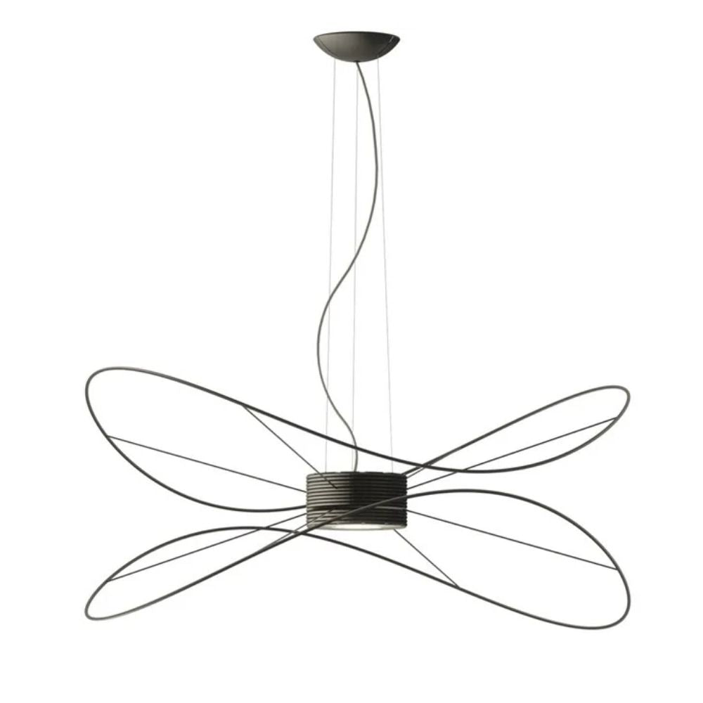 Axolight Hoops 2 LED suspension lamp by Giovanni Barbato Axolight Black NE - Buy now on ShopDecor - Discover the best products by AXOLIGHT design