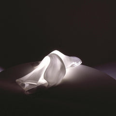 Ingo Maurer Delight wall lamp - Buy now on ShopDecor - Discover the best products by INGO MAURER design