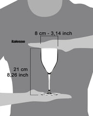 Italesse Sunlight Beach set 6 wine stemmed glasses cc. 330 polycarbonate