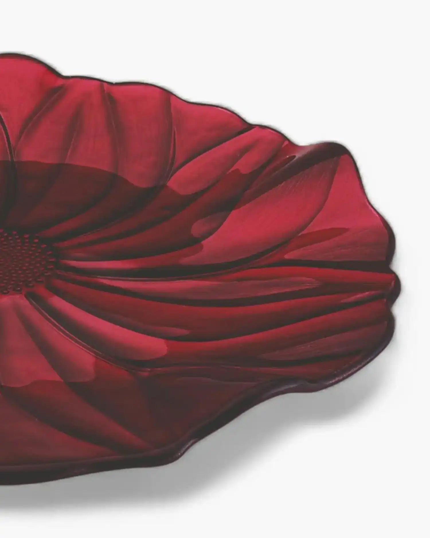 Ivv Magnolia glass dish - Buy now on ShopDecor - Discover the best products by IVV design