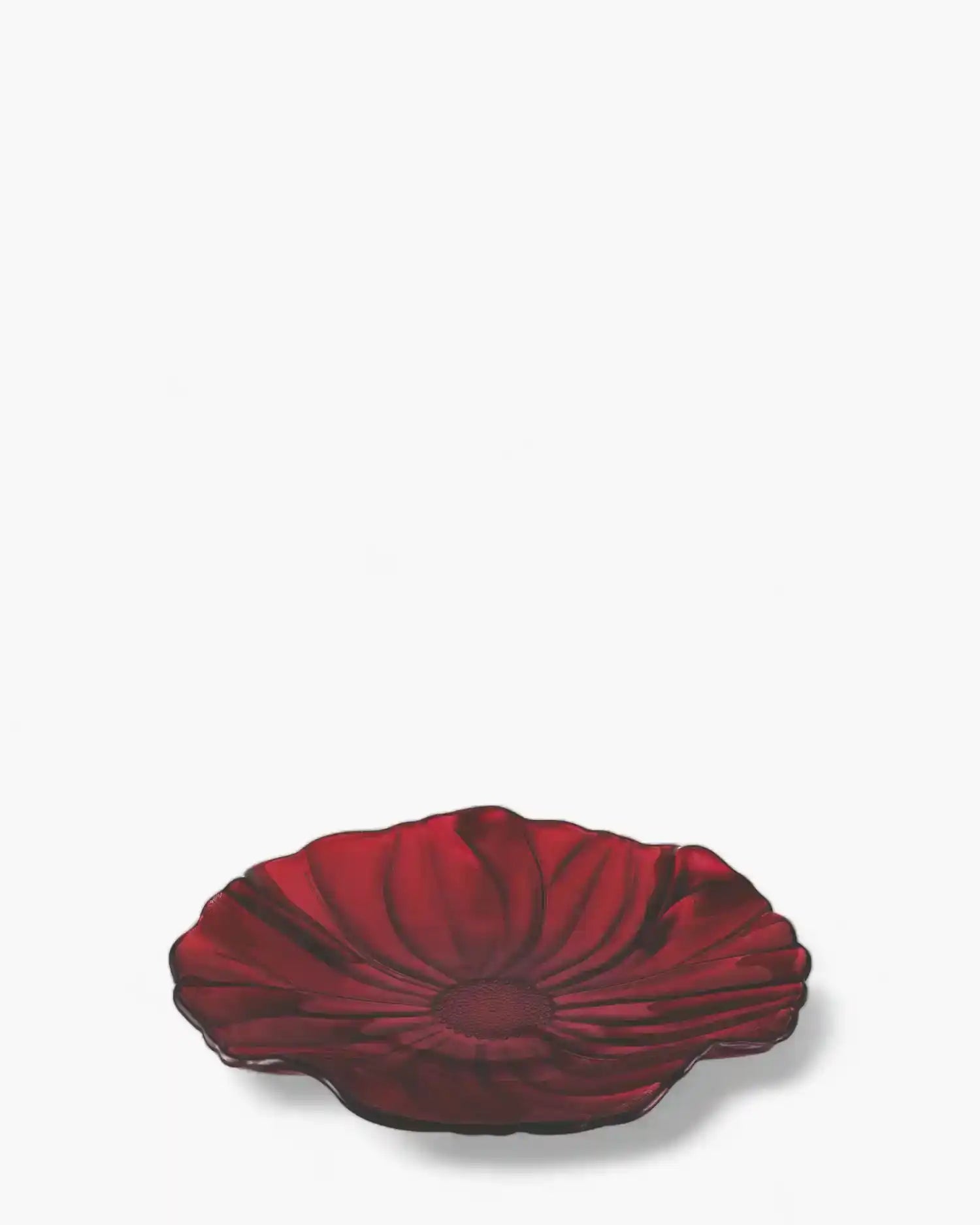 Ivv Magnolia glass dish Burgundy ø 28 cm - Buy now on ShopDecor - Discover the best products by IVV design
