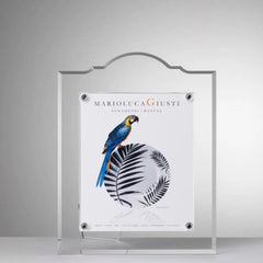Mario Luca Giusti Giulia/Ranieri photo frame Transparent S - Buy now on ShopDecor - Discover the best products by MARIO LUCA GIUSTI design
