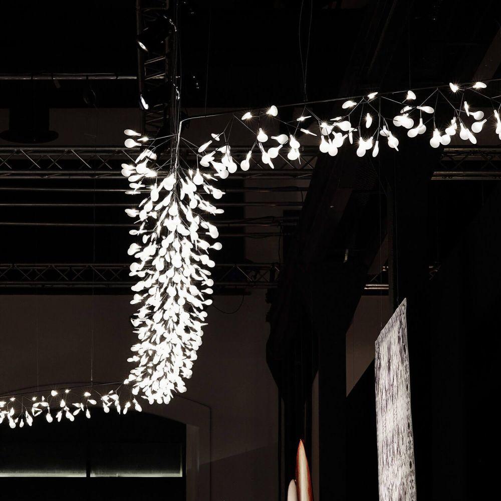 Moooi Heracleum Endless LED suspension lamp - Buy now on ShopDecor - Discover the best products by MOOOI design