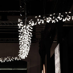 Moooi Heracleum Endless LED suspension lamp - Buy now on ShopDecor - Discover the best products by MOOOI design