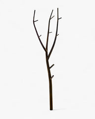 Opinion Ciatti Ramo coat stand Corten - Buy now on ShopDecor - Discover the best products by OPINION CIATTI design