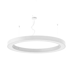 Panzeri Silver Ring suspension lamp LED diam. 120 cm - Buy now on ShopDecor - Discover the best products by PANZERI design