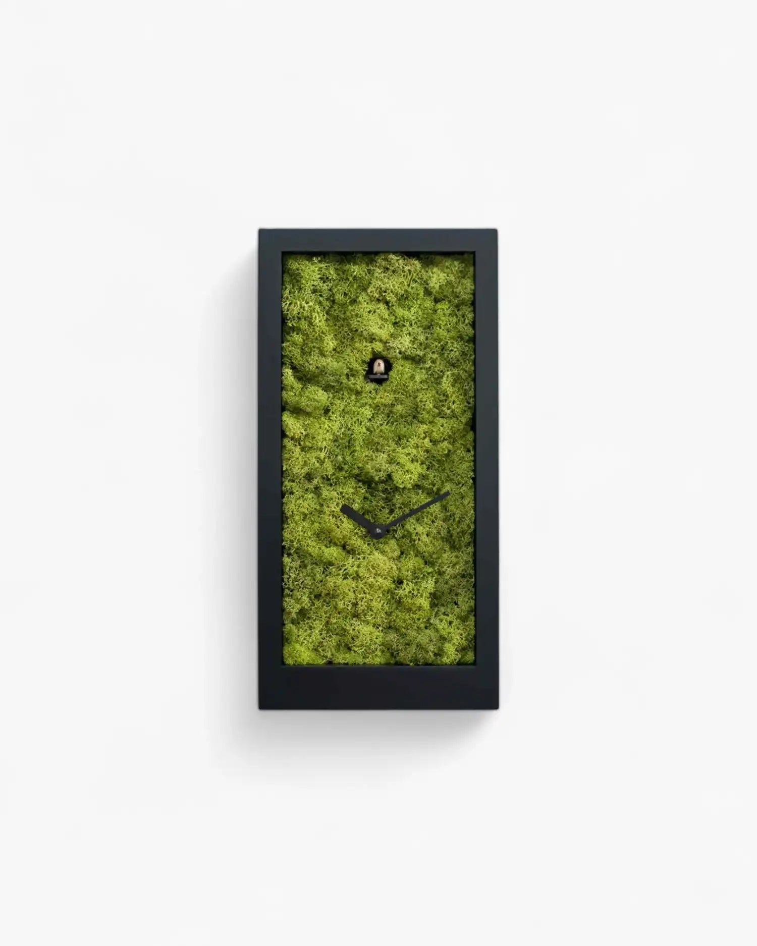 Progetti Amazon cuckoo/table clock Progetti Black - Buy now on ShopDecor - Discover the best products by PROGETTI design