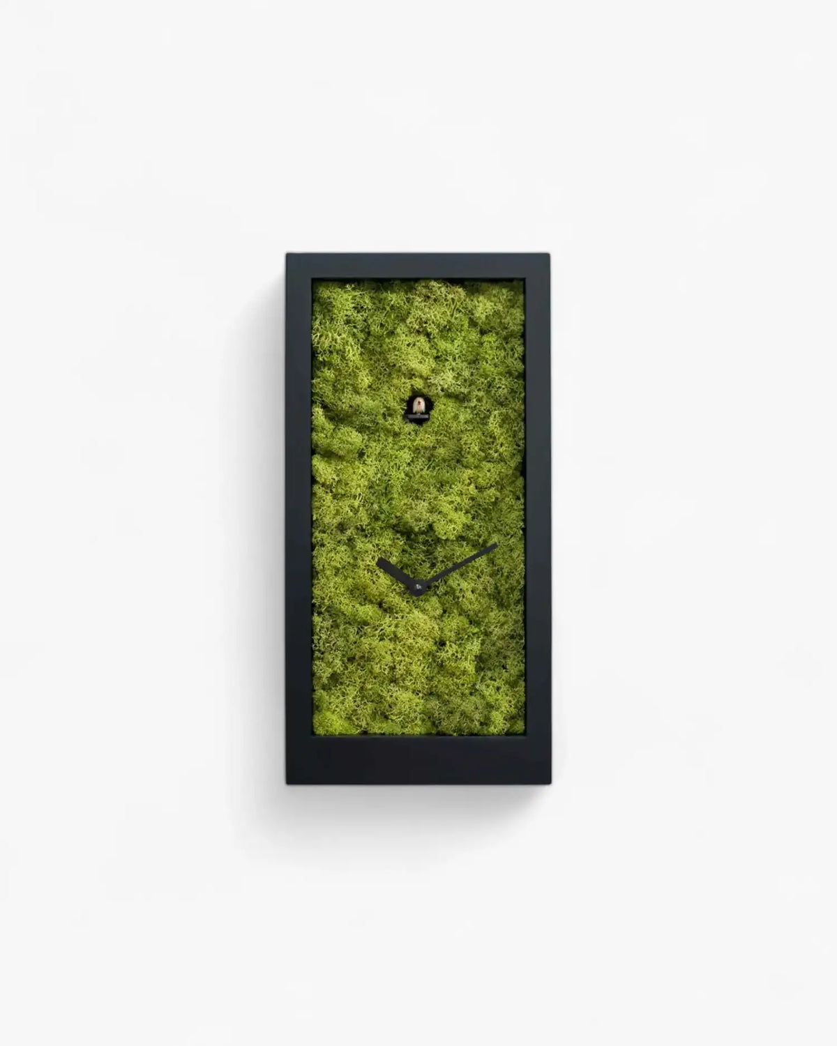 Progetti Amazon cuckoo/table clock Progetti Black - Buy now on ShopDecor - Discover the best products by PROGETTI design
