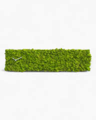 Progetti Clock_Circle clock Rectangular - Buy now on ShopDecor - Discover the best products by PROGETTI design