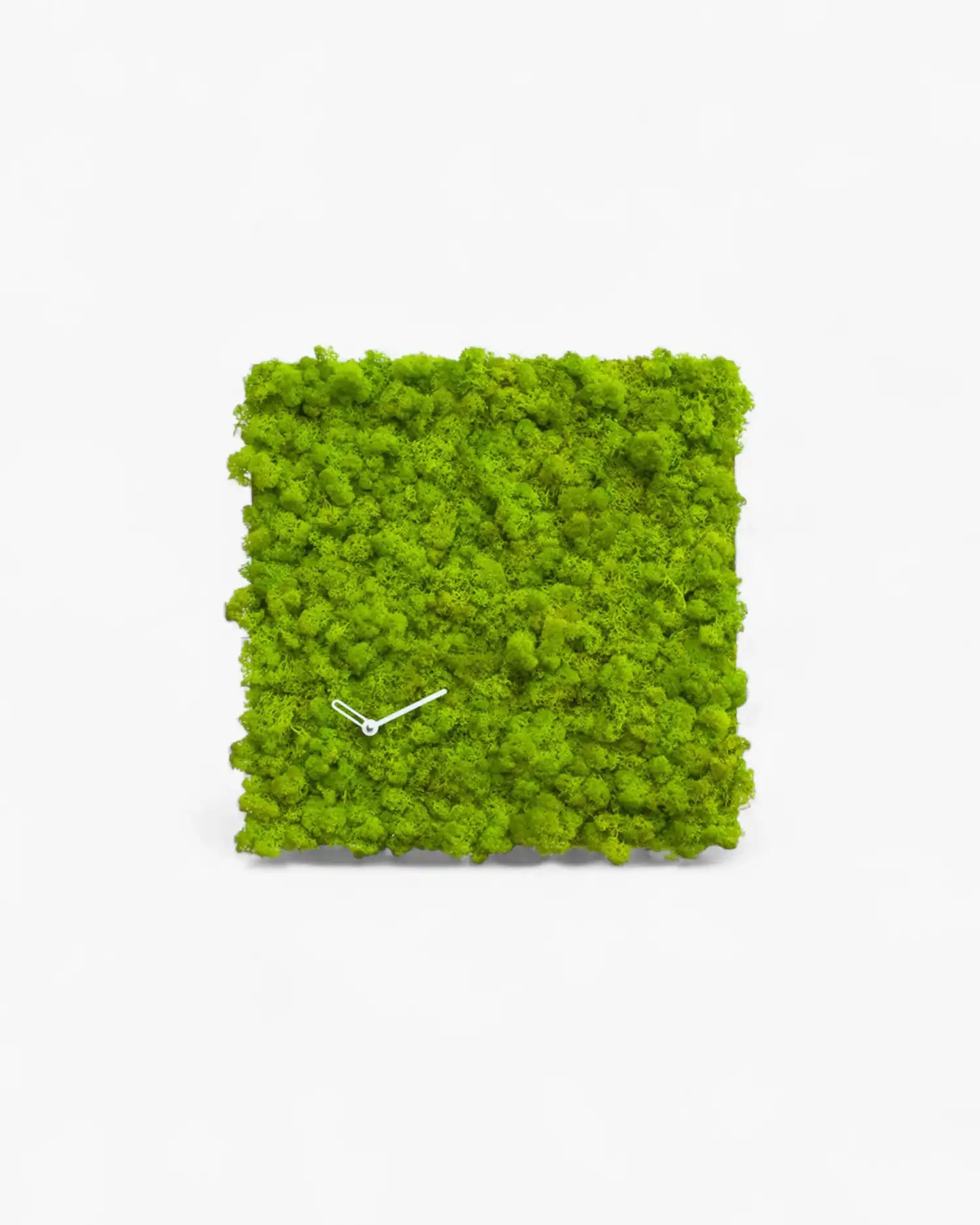 Progetti Clock_Circle clock Square - Buy now on ShopDecor - Discover the best products by PROGETTI design