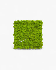 Progetti Clock_Circle clock Square - Buy now on ShopDecor - Discover the best products by PROGETTI design