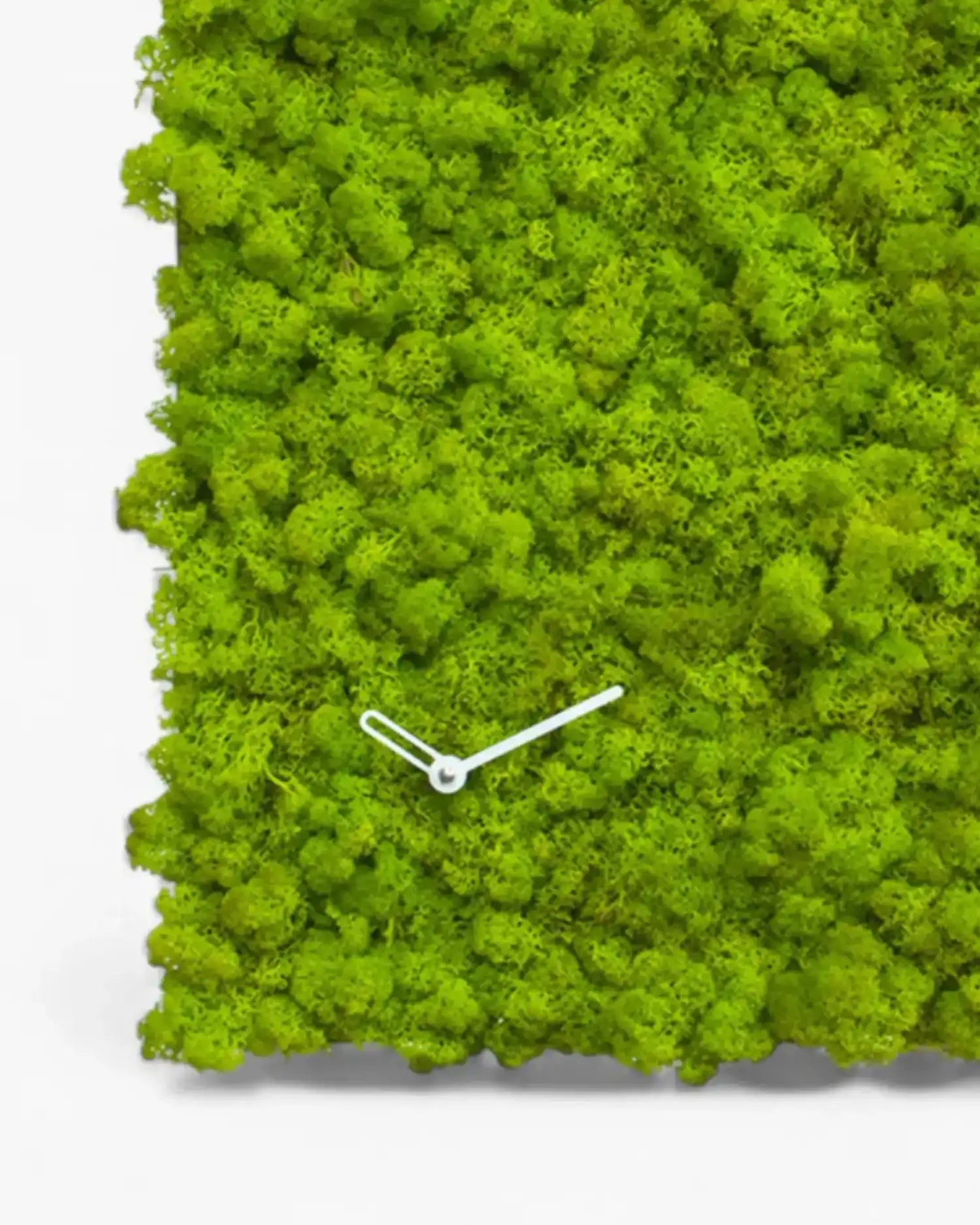 Progetti Clock_Circle clock - Buy now on ShopDecor - Discover the best products by PROGETTI design