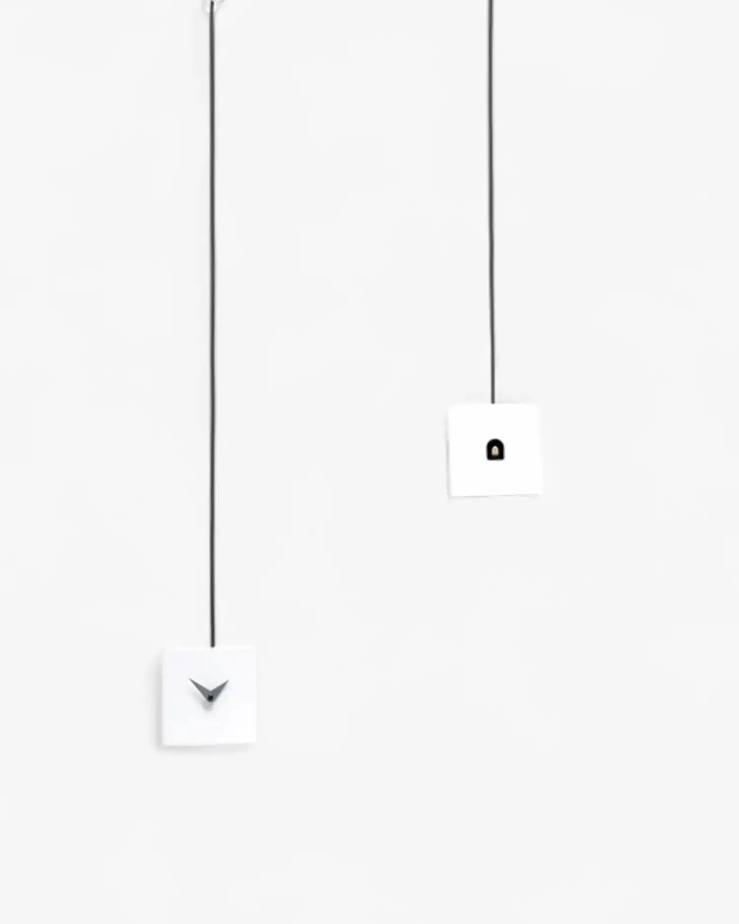 Progetti TuTu cuckoo clock - Buy now on ShopDecor - Discover the best products by PROGETTI design