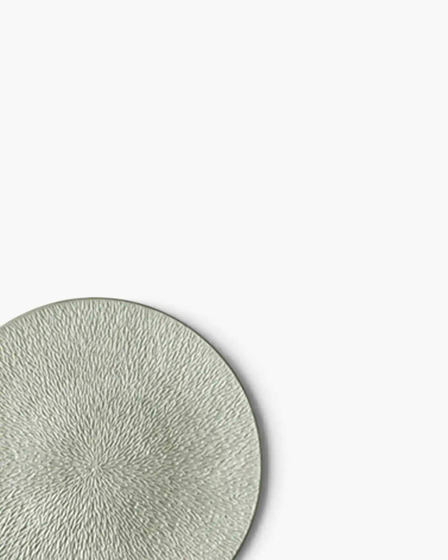Raynaud Minéral fully engraved coupe dinner plate in Limoges porcelain with coloured decoration - Buy now on ShopDecor - Discover the best products by RAYNAUD design