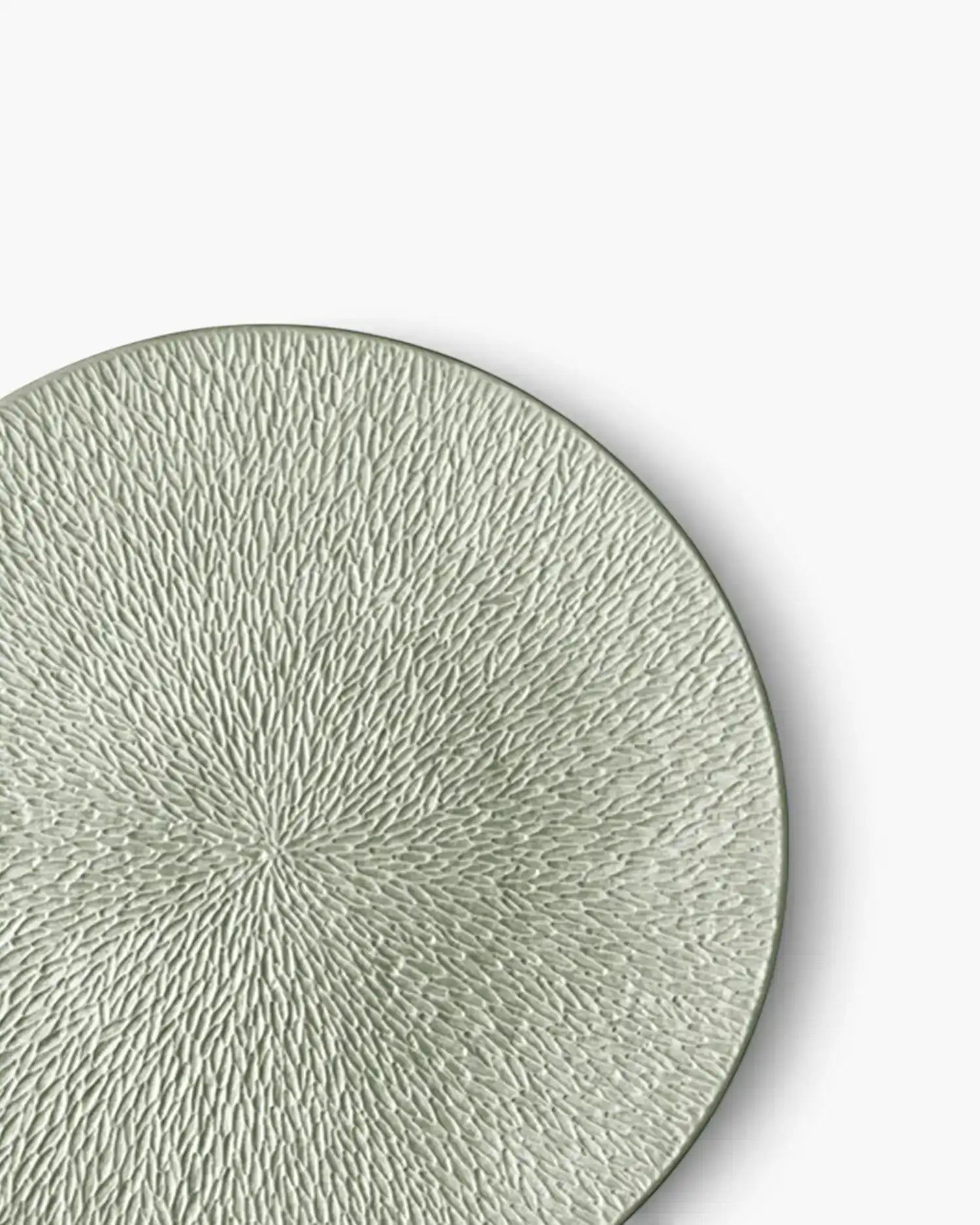 Raynaud Minéral fully engraved coupe dinner plate in Limoges porcelain with coloured decoration - Buy now on ShopDecor - Discover the best products by RAYNAUD design