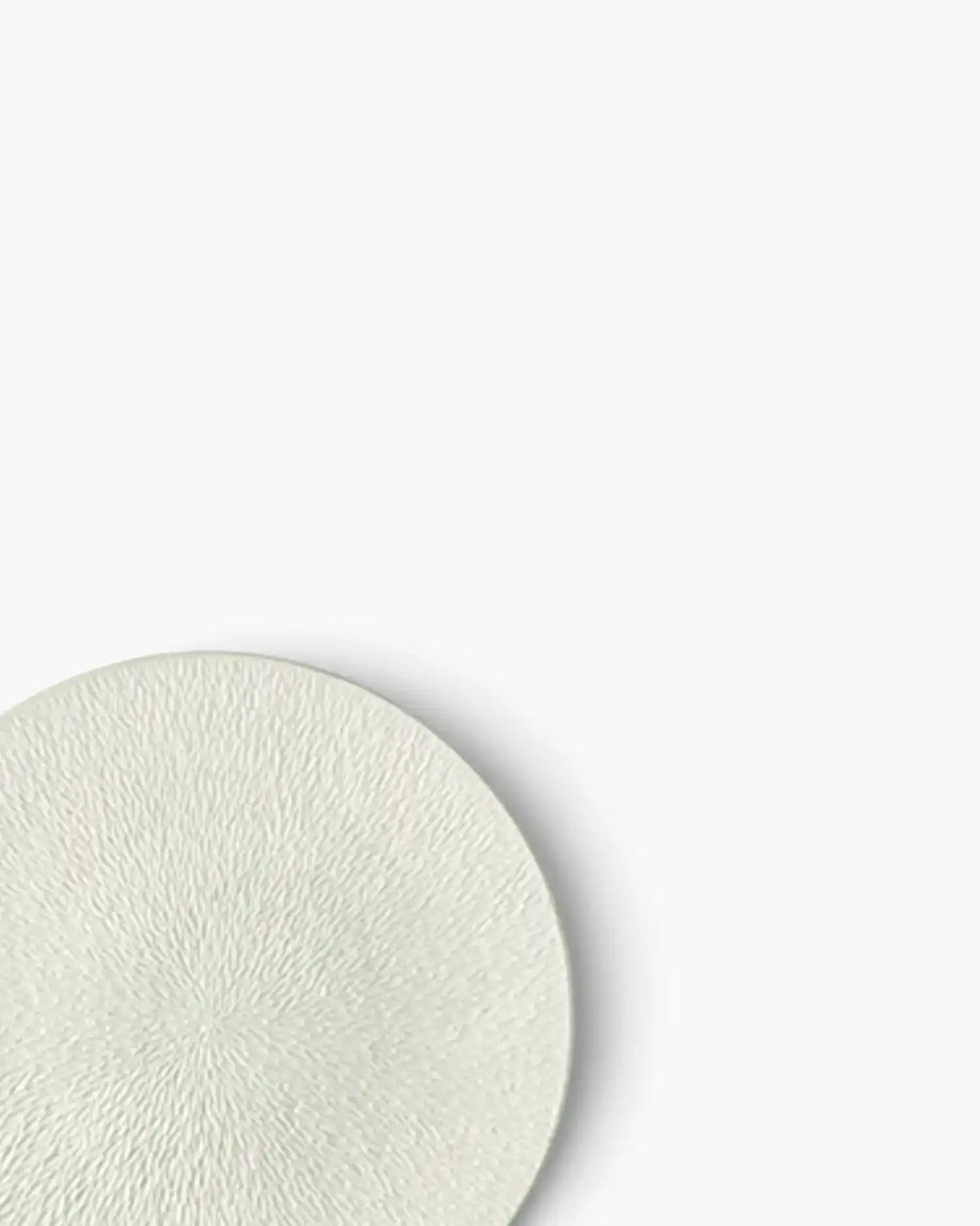 Raynaud Minéral fully engraved coupe dinner plate in Limoges porcelain with coloured decoration - Buy now on ShopDecor - Discover the best products by RAYNAUD design