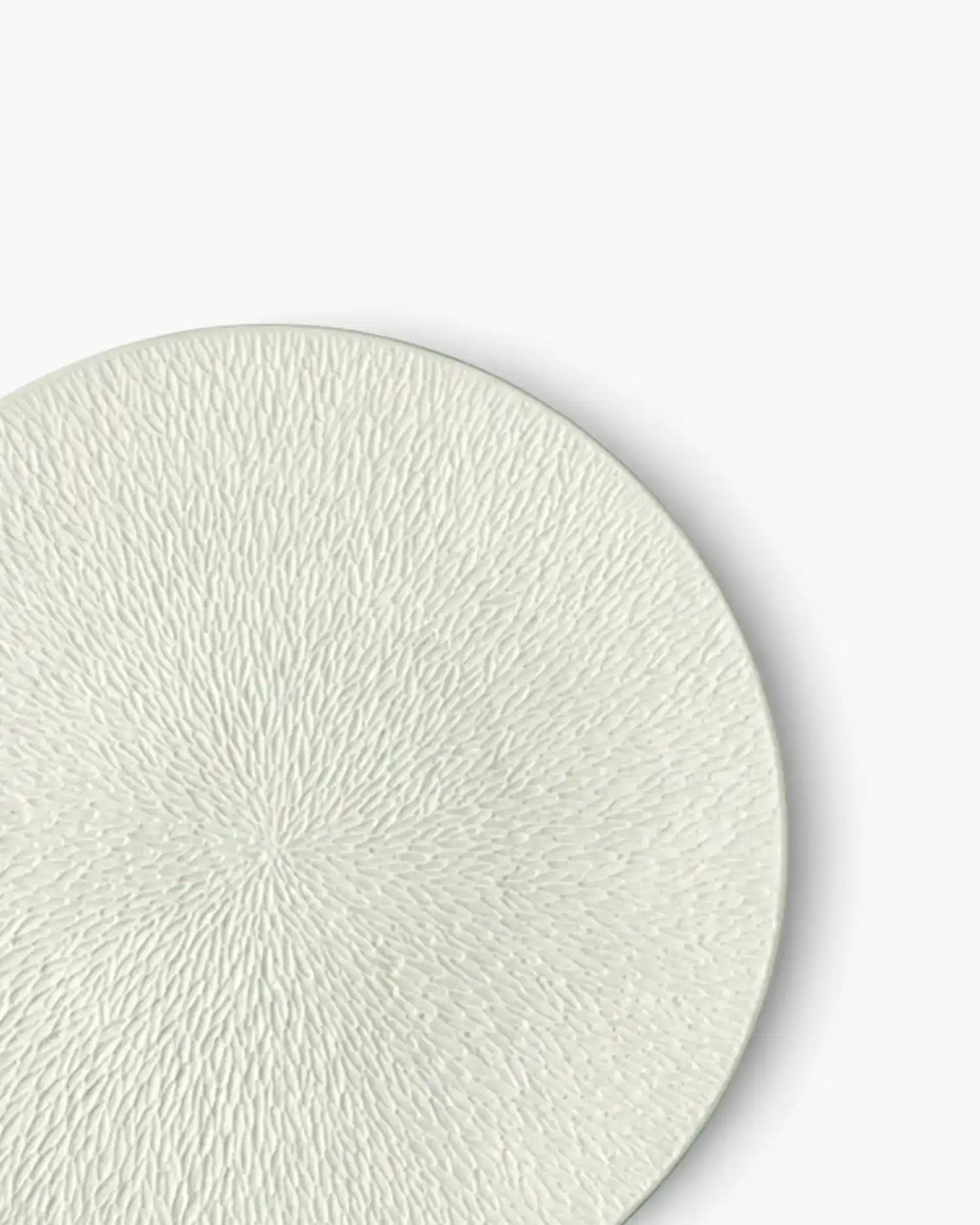 Raynaud Minéral fully engraved coupe dinner plate in Limoges porcelain with coloured decoration - Buy now on ShopDecor - Discover the best products by RAYNAUD design