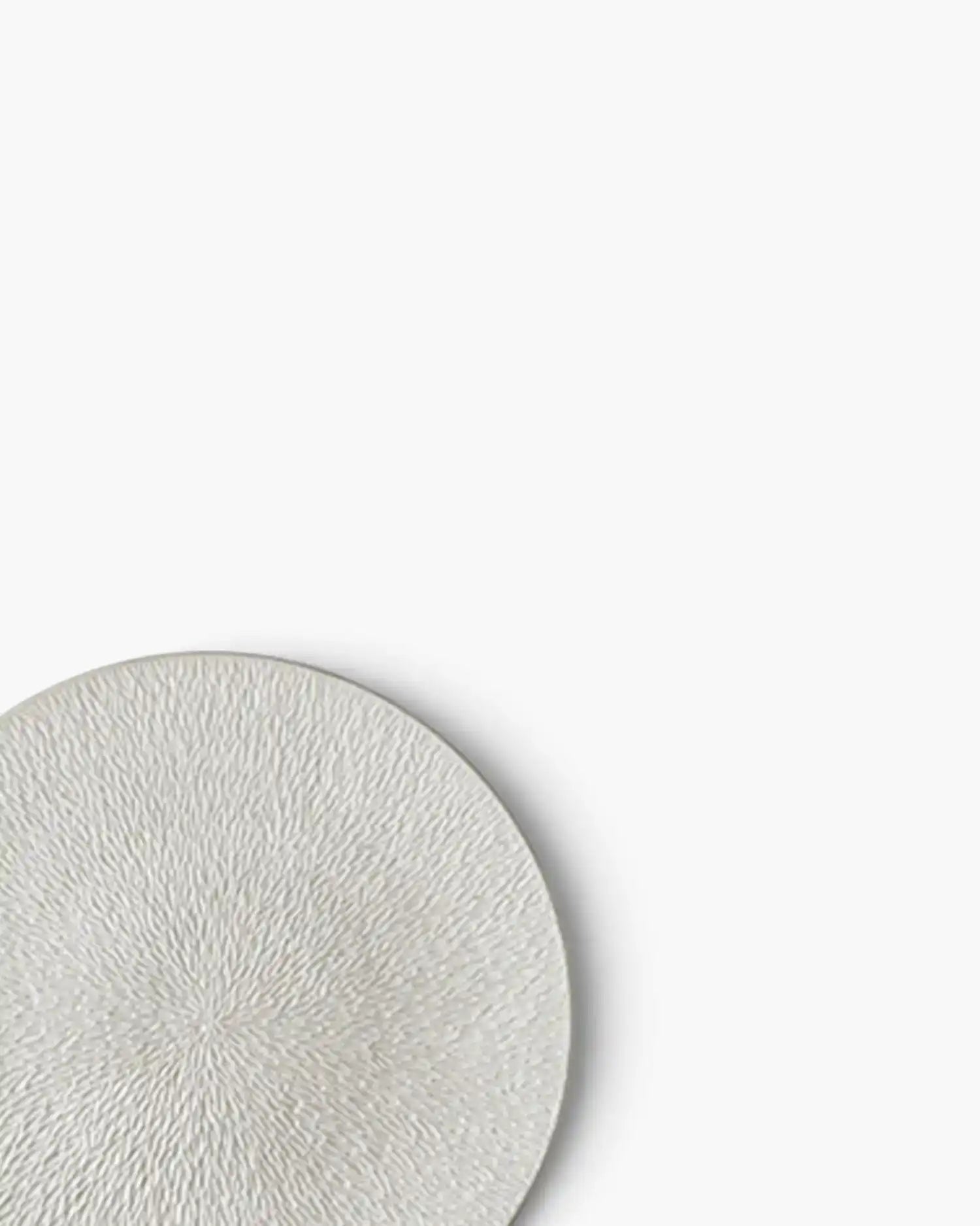 Raynaud Minéral fully engraved coupe dinner plate in Limoges porcelain with coloured decoration - Buy now on ShopDecor - Discover the best products by RAYNAUD design