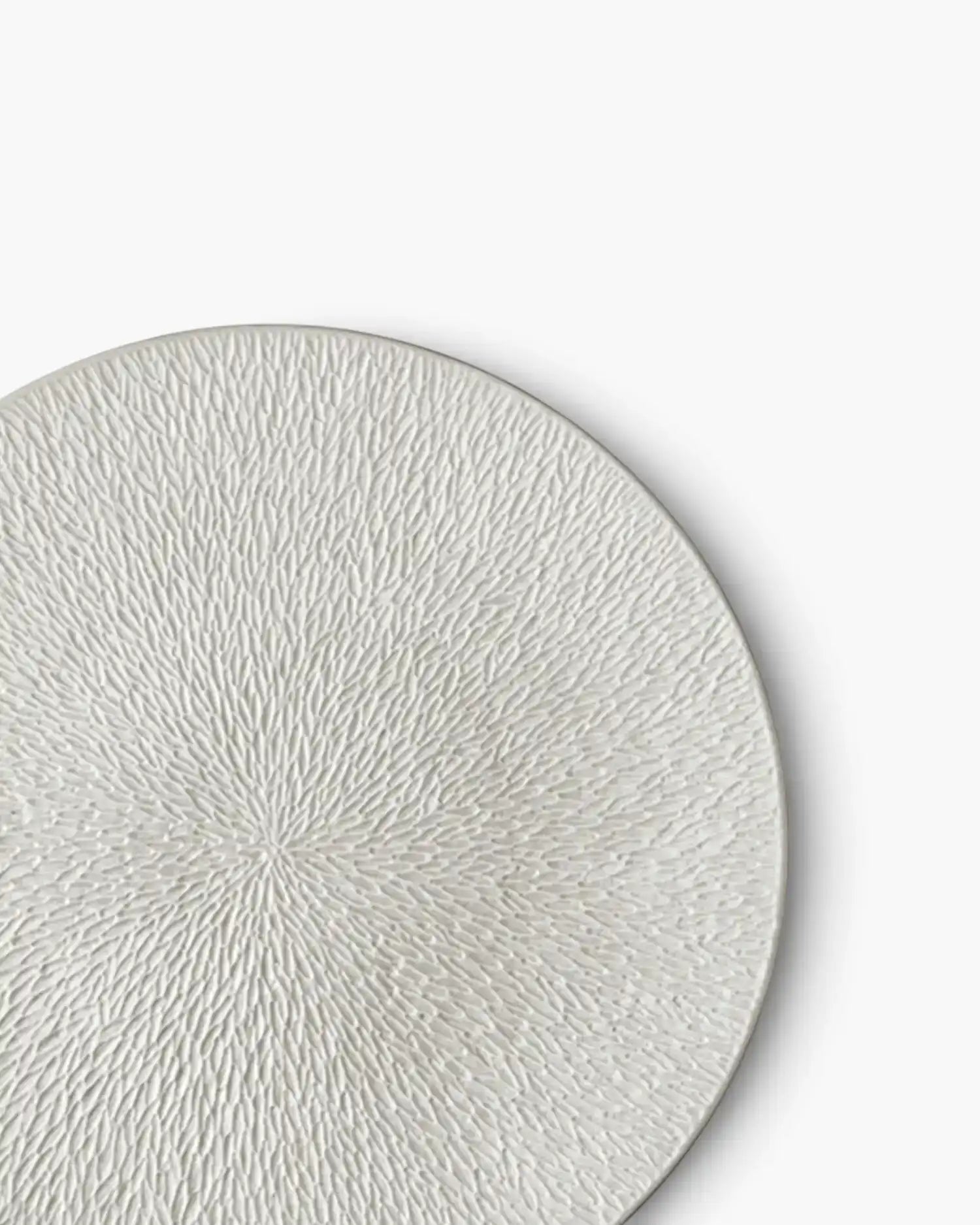 Raynaud Minéral fully engraved coupe dinner plate in Limoges porcelain with coloured decoration - Buy now on ShopDecor - Discover the best products by RAYNAUD design