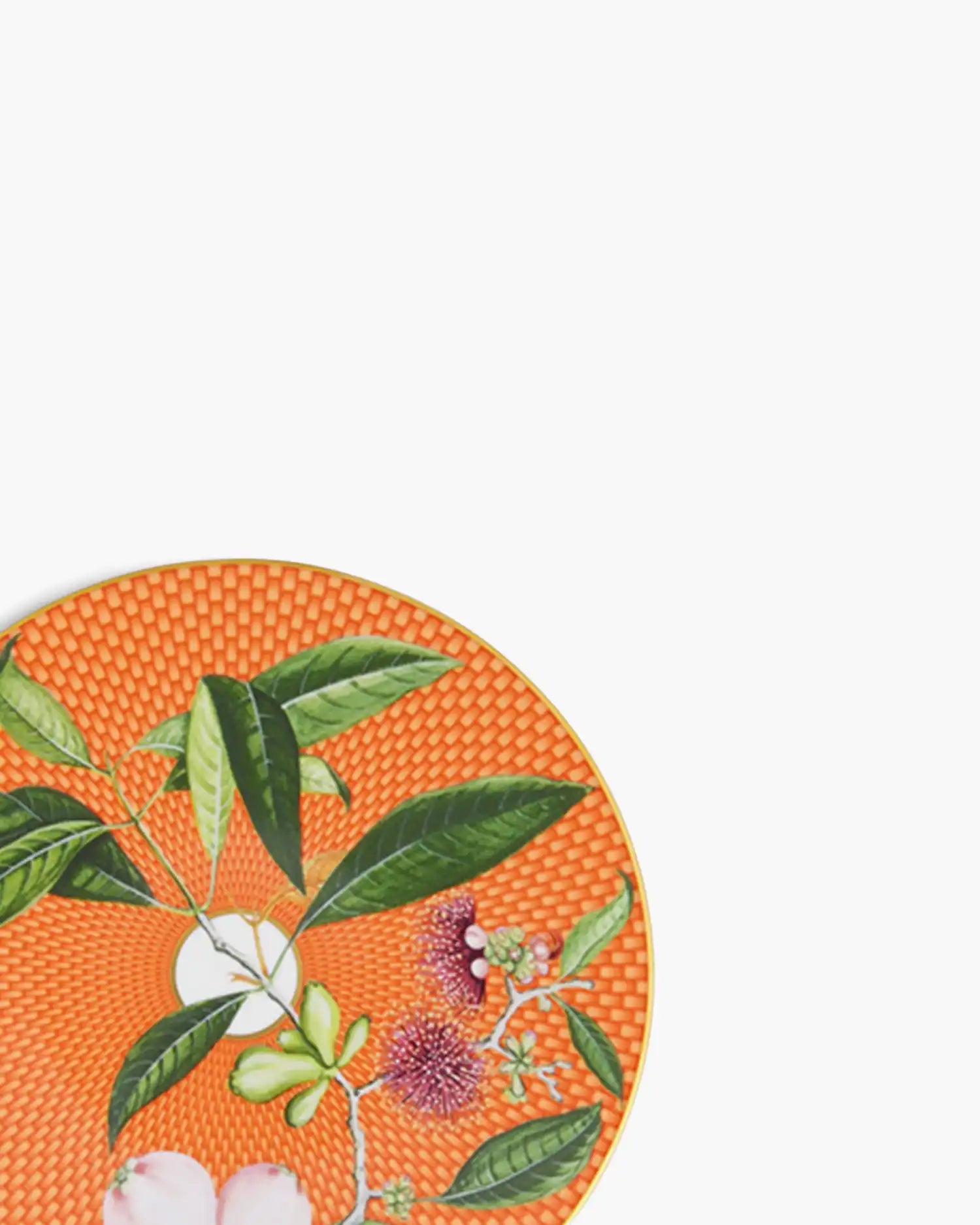 Raynaud Trésor Fleuri coupe dinner plate in Limoges porcelain with coloured decoration - Buy now on ShopDecor - Discover the best products by RAYNAUD design