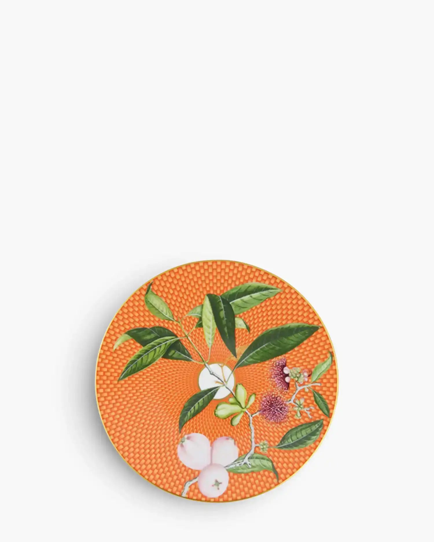 Raynaud Trésor Fleuri coupe dinner plate in Limoges porcelain with coloured decoration Orange Water Apple ∅ 22 cm - Buy now on ShopDecor - Discover the best products by RAYNAUD design