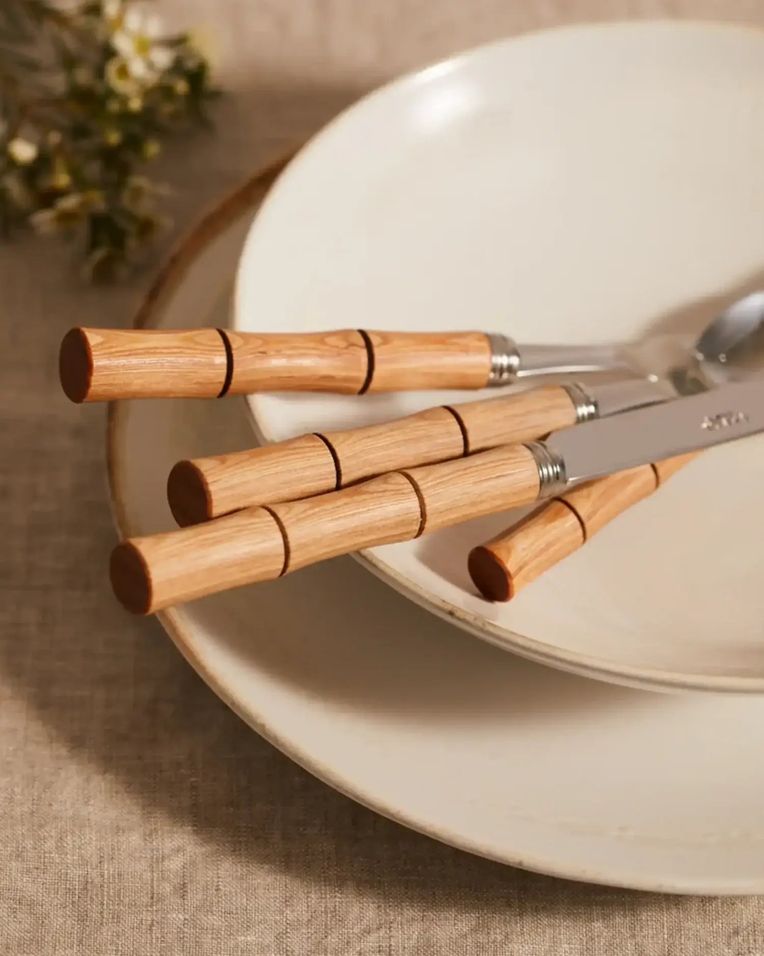 Sabre Paris Bamboo 5-piece stainless steel cutlery set with wood handles - Buy now on ShopDecor - Discover the best products by SABRE PARIS design