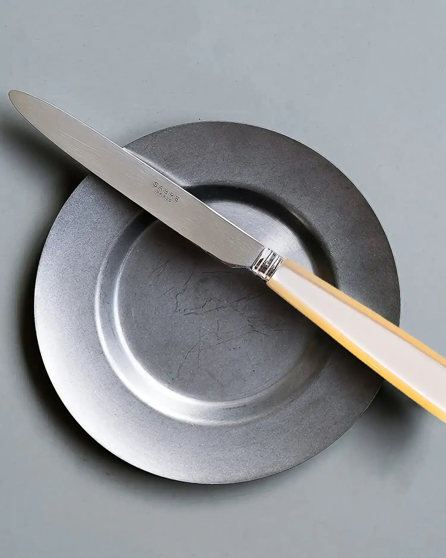 Sabre Paris Icône 24-piece stainless steel cutlery set with acrylic handles - Buy now on ShopDecor - Discover the best products by SABRE PARIS design