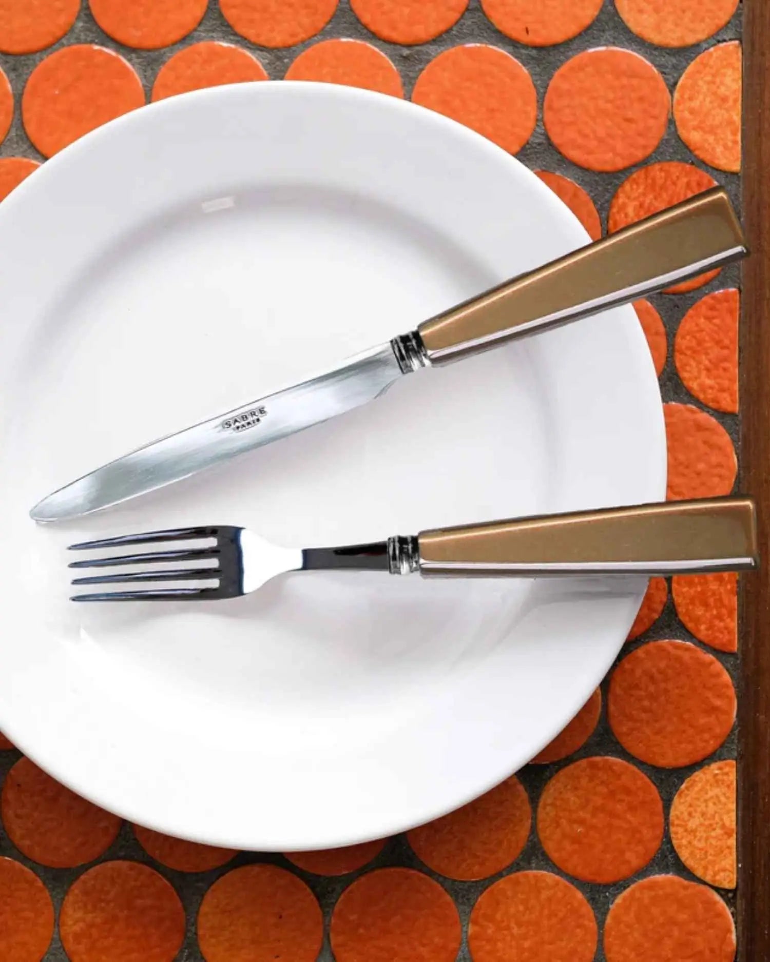 Sabre Paris Icône 5-piece stainless steel cutlery set with acrylic handles - Buy now on ShopDecor - Discover the best products by SABRE PARIS design