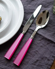 Sabre Paris Icône 5-piece stainless steel cutlery set with acrylic handles - Buy now on ShopDecor - Discover the best products by SABRE PARIS design