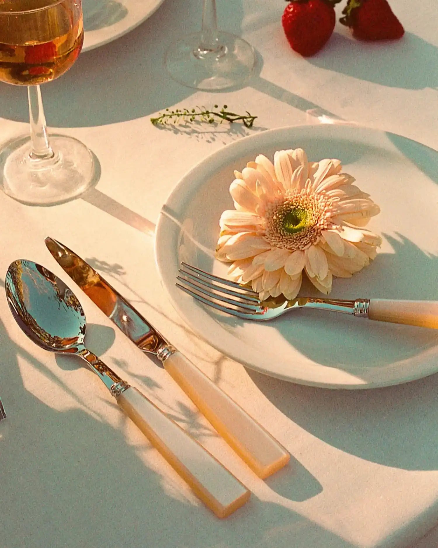 Sabre Paris Icône 5-piece stainless steel cutlery set with acrylic handles - Buy now on ShopDecor - Discover the best products by SABRE PARIS design